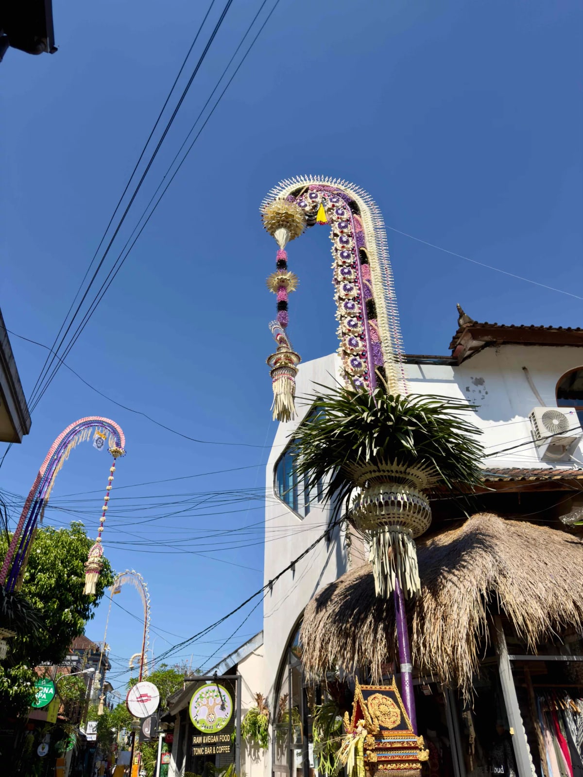 Penjor 5