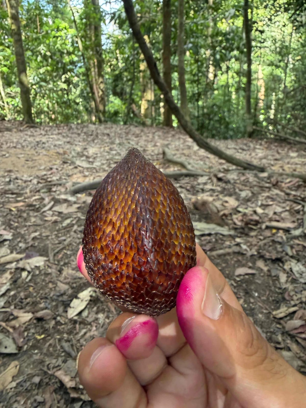 Salak 1