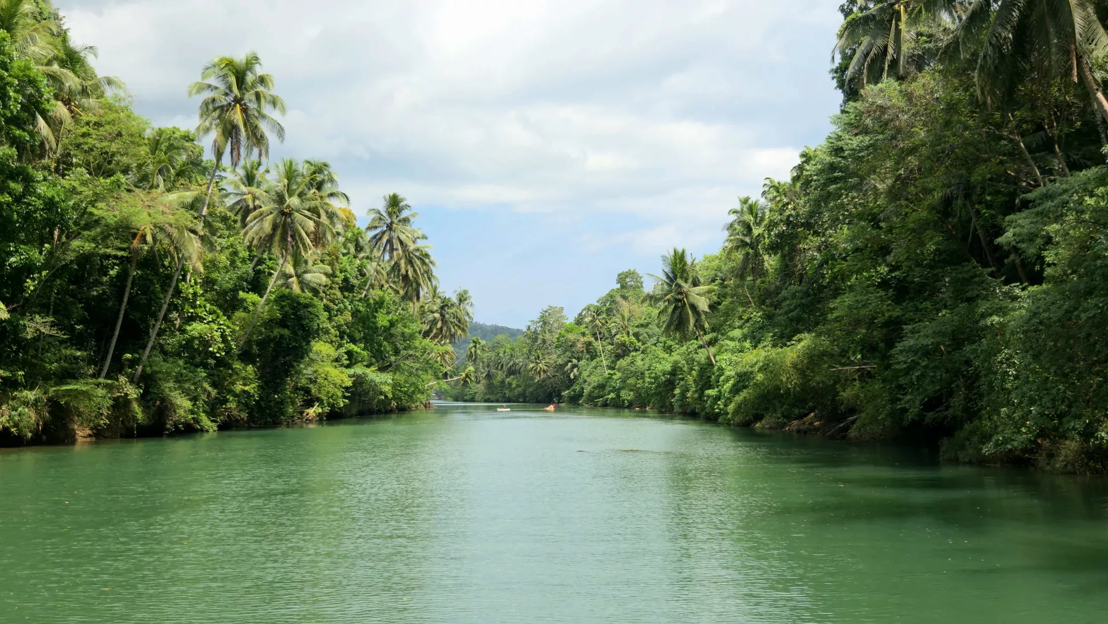 Quelques jours suspendus à Bohol