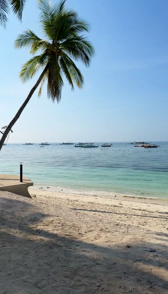 Alona Beach