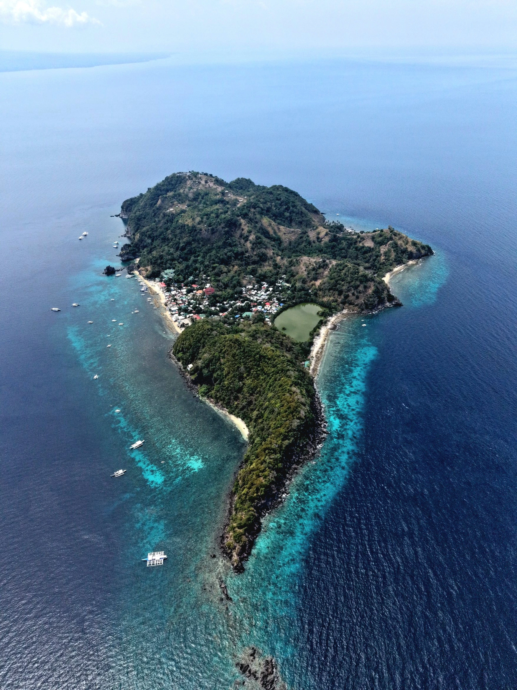 Apo Island