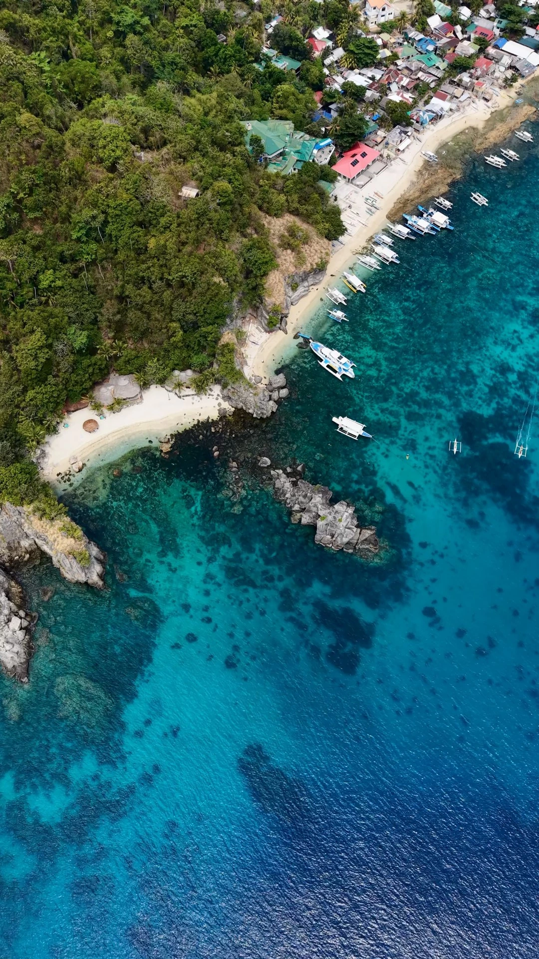 Apo Island — Photo 3