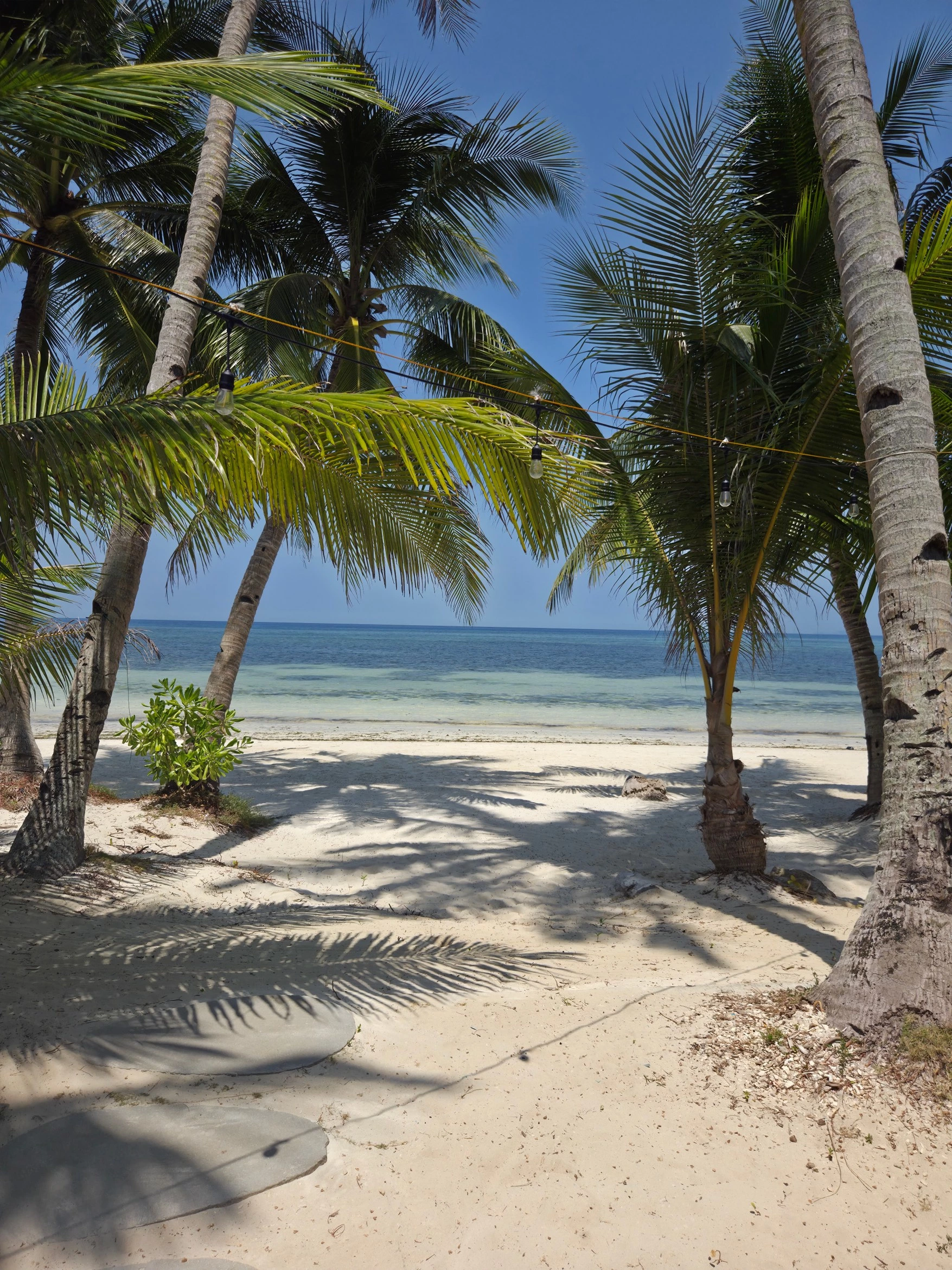 Charisma Beach Resort — Photo 3