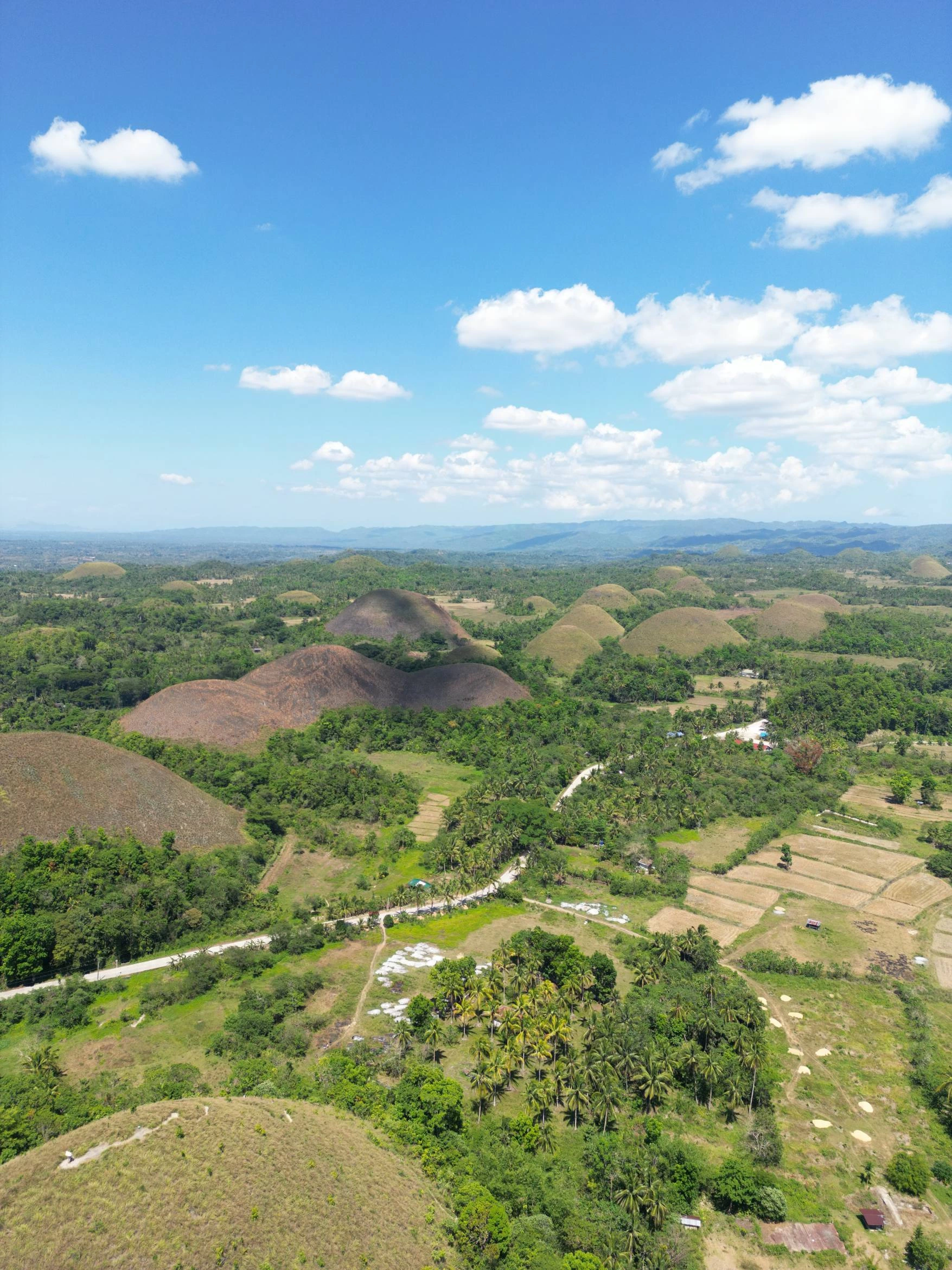 Chocolate Hills