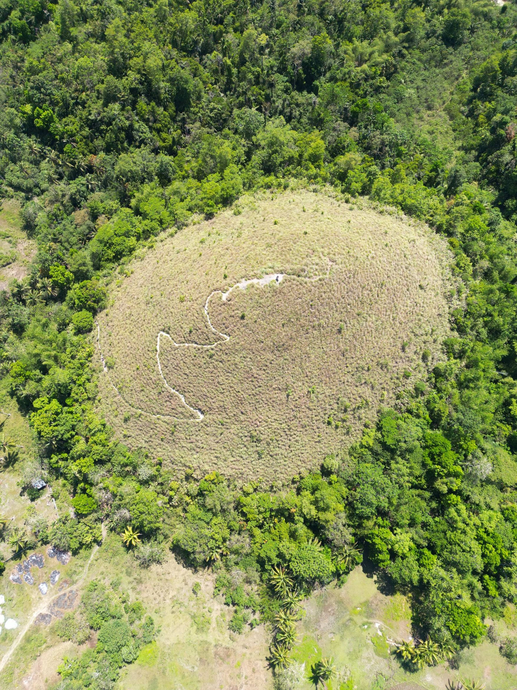 Chocolate Hills — Photo 2