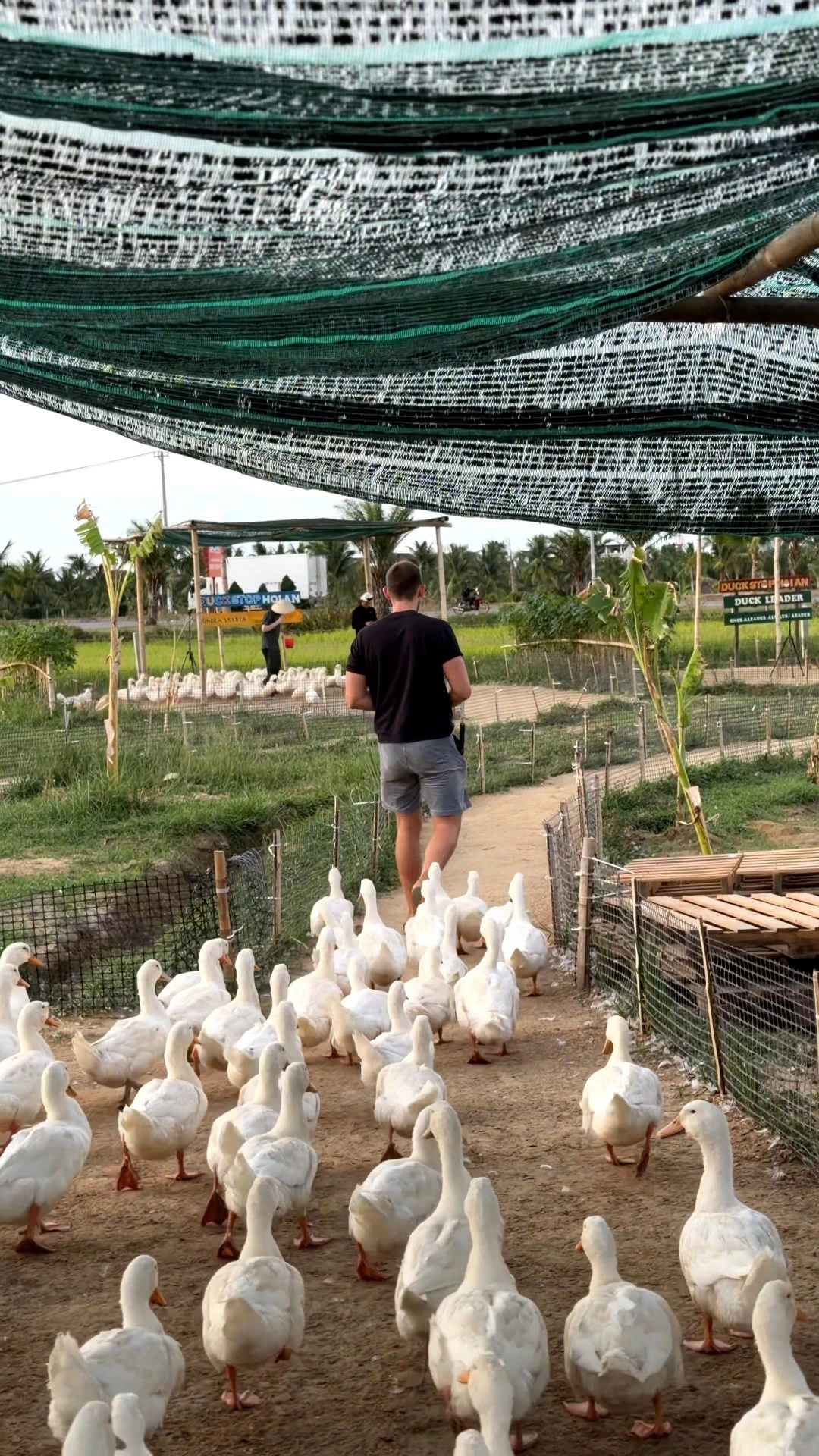 Que faire à Hội An ?