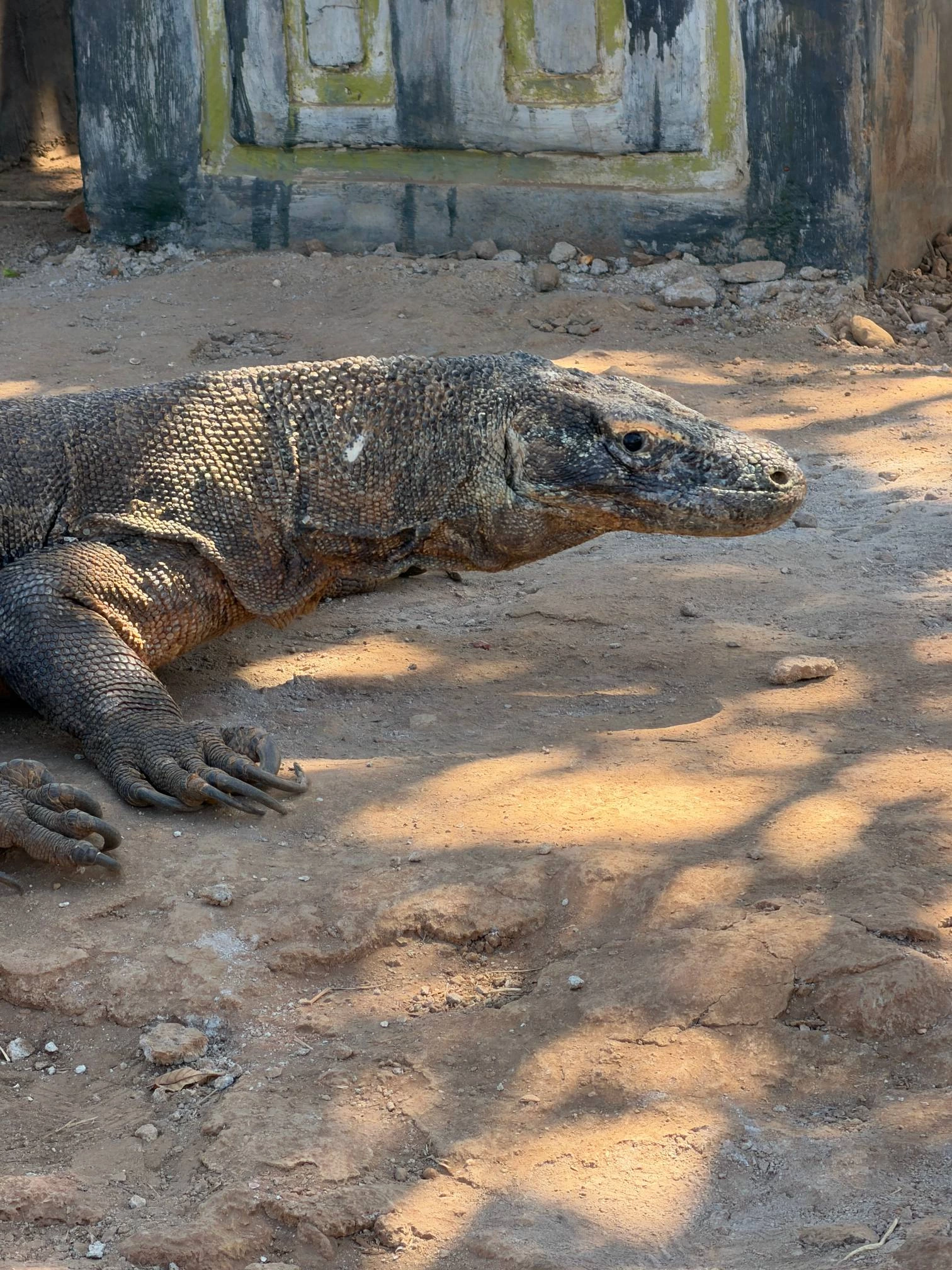 Liveaboard dans le parc national de Komodo — Photo 2