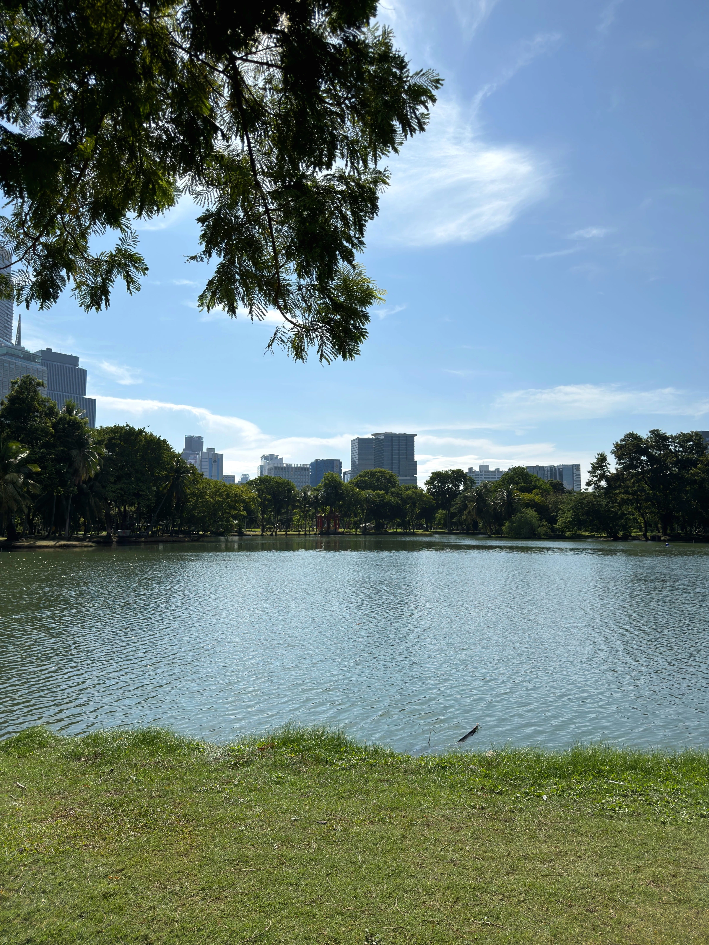 Lumpini Park — Photo 2