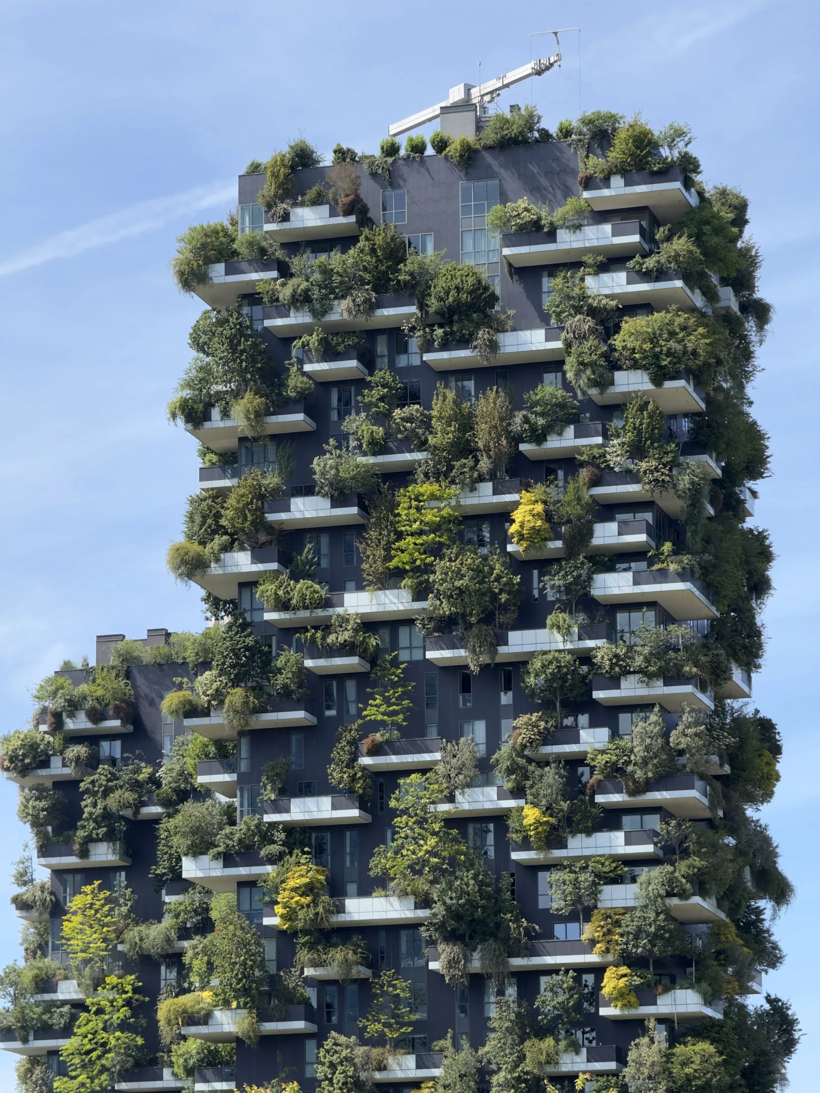 Milan à vélo, street art et délices au bord du canal