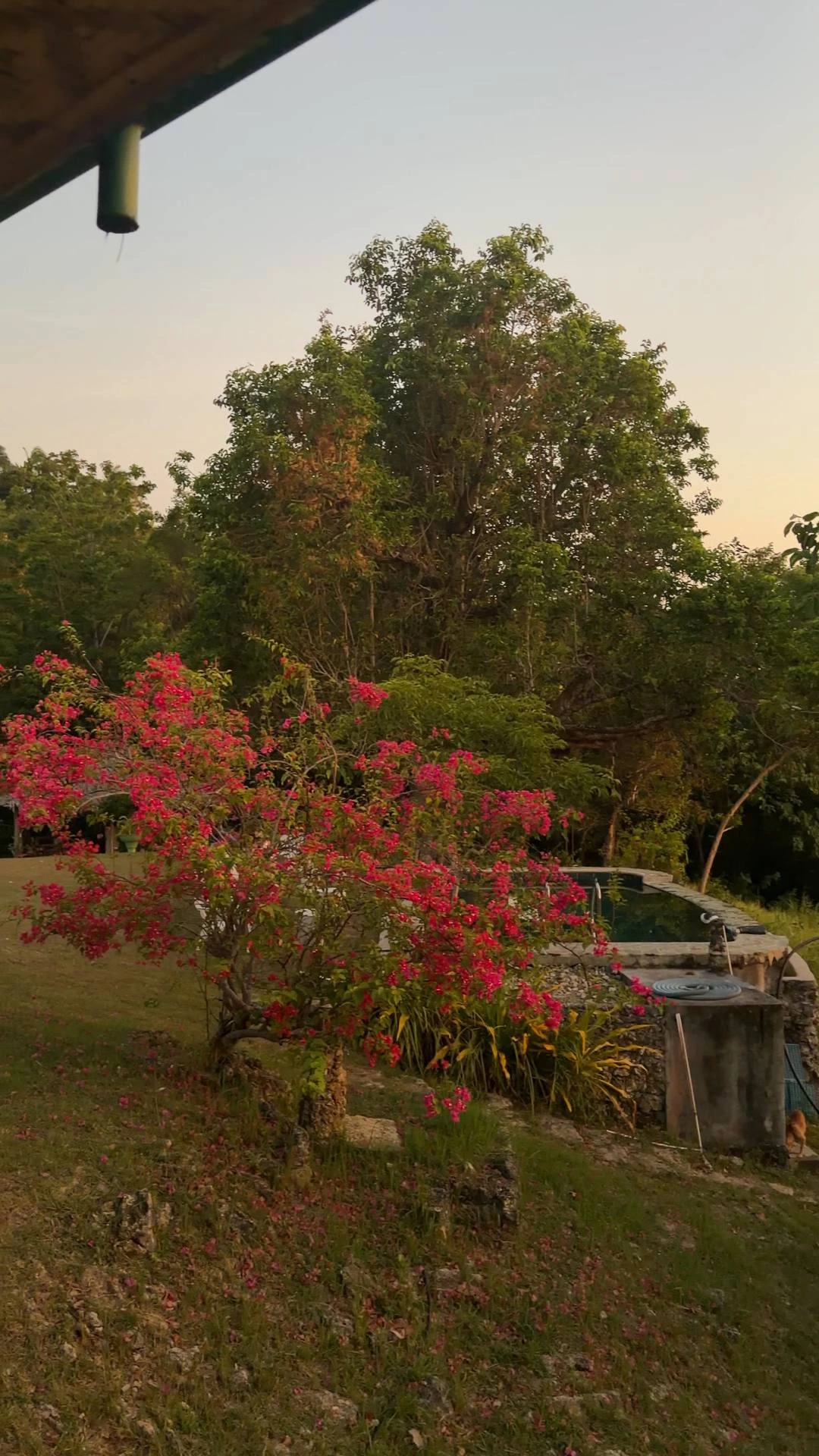 OM Horizon Ecoresort — Photo 3