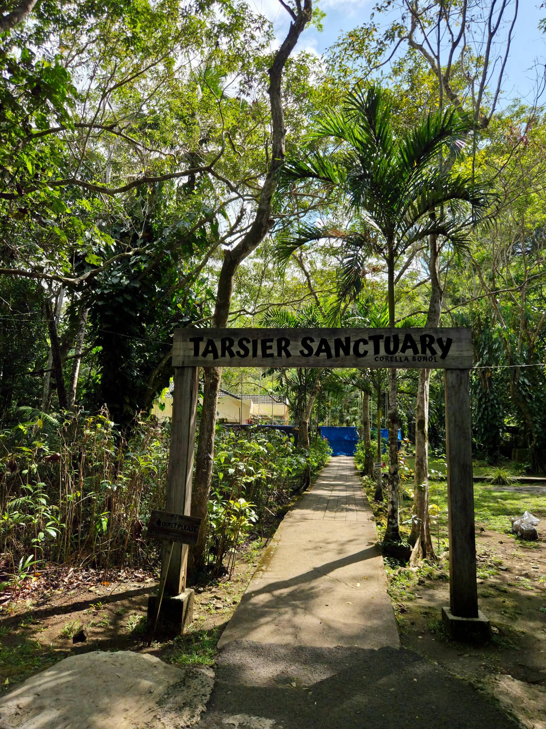 Philippine Tarsier Sanctuary — Photo 2