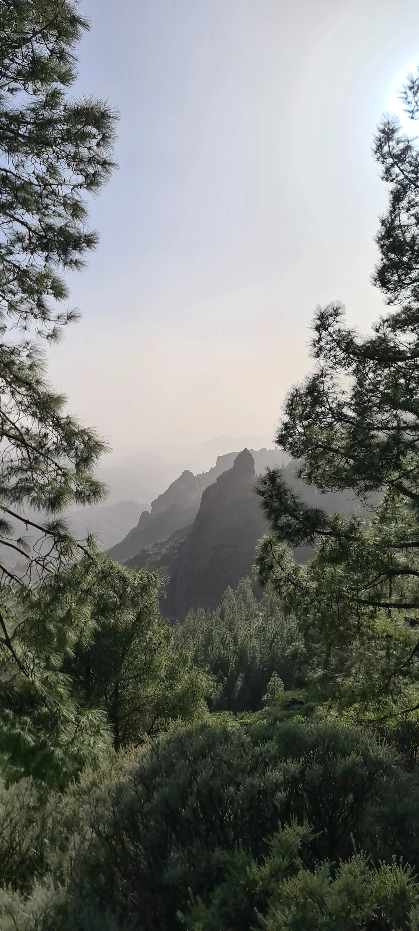 Pico de las Nieves — Photo 2