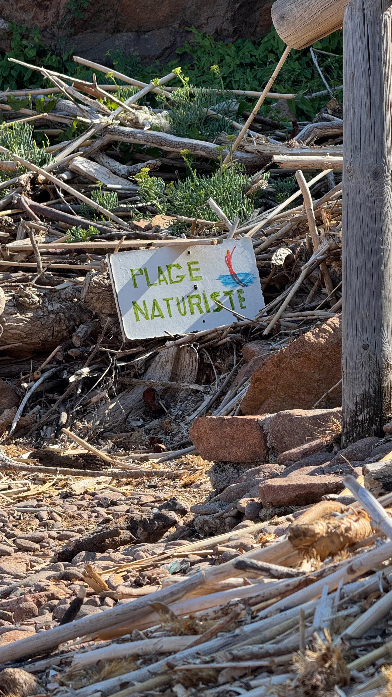 Cala de Cap Roux — Foto 1