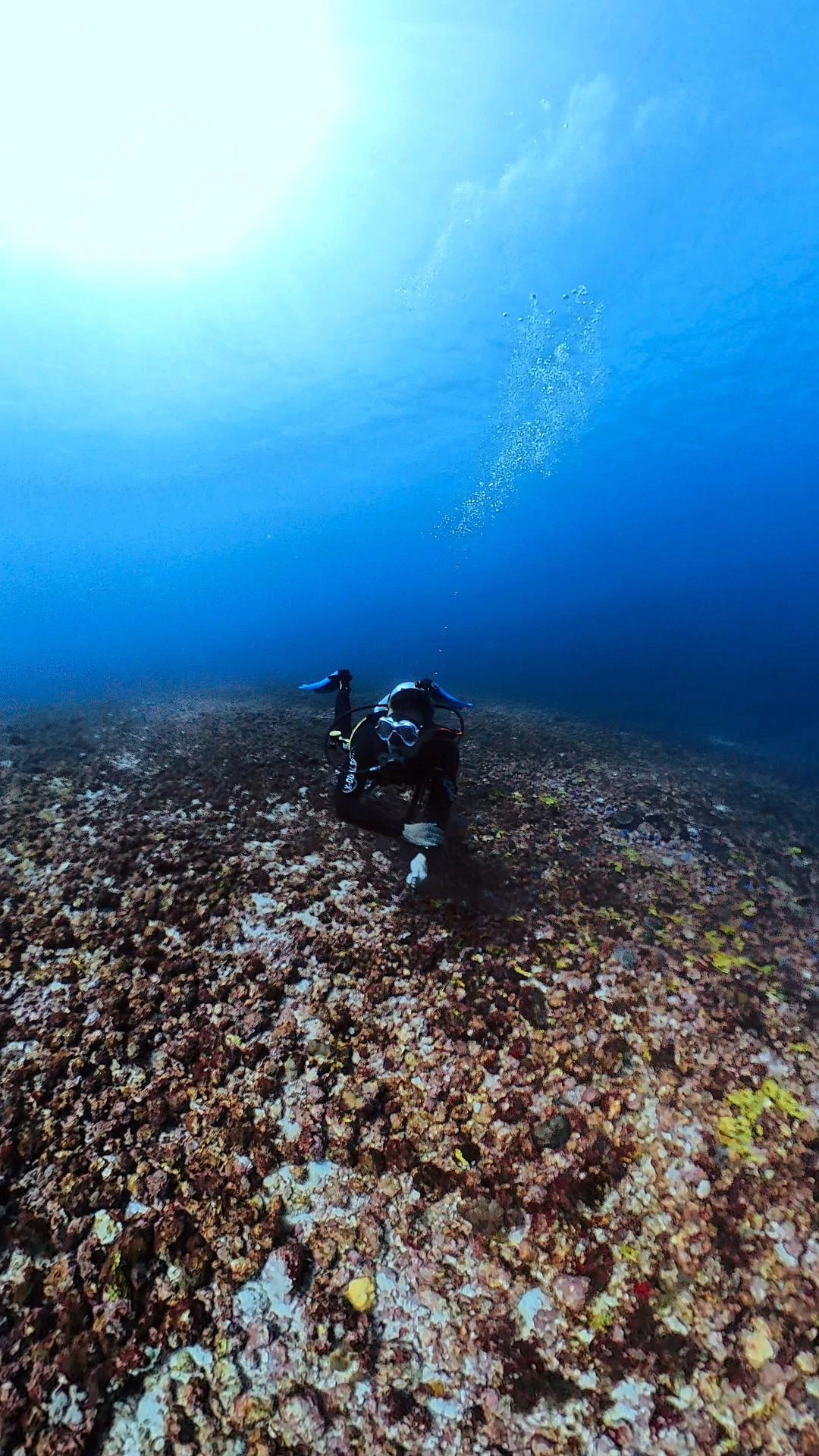 Scuba diving in Komodo National Park — Photo 3