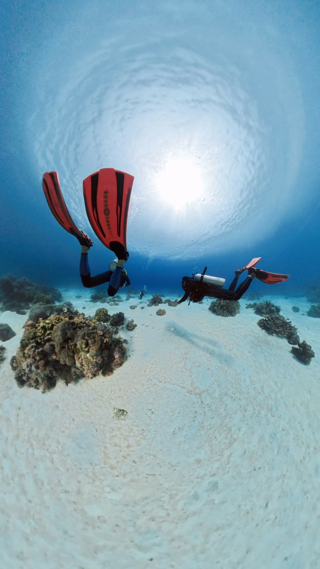 Reef Turtle Dive Center
