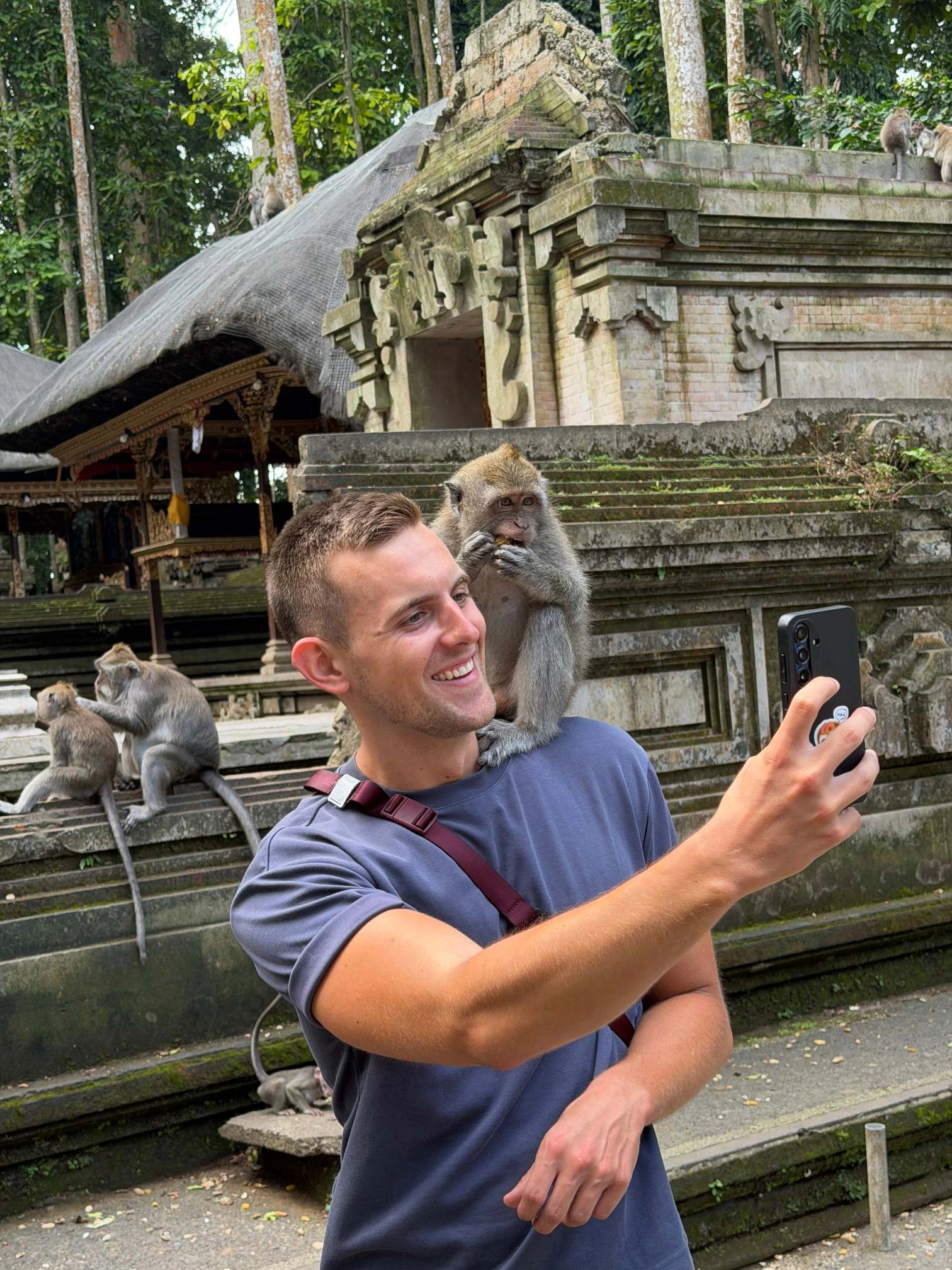 Sangeh Monkey Forest