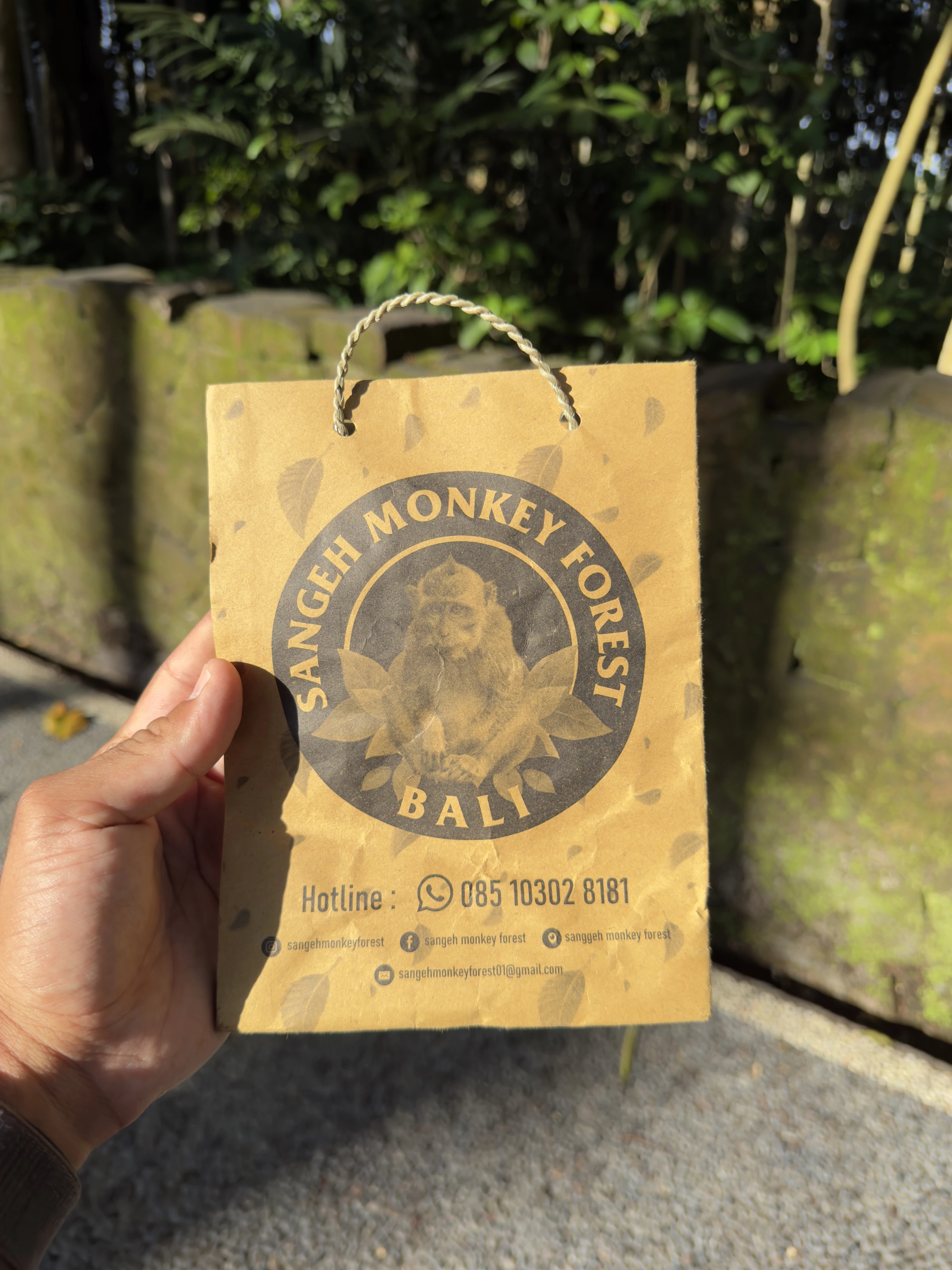 Sangeh Monkey Forest — Photo 3