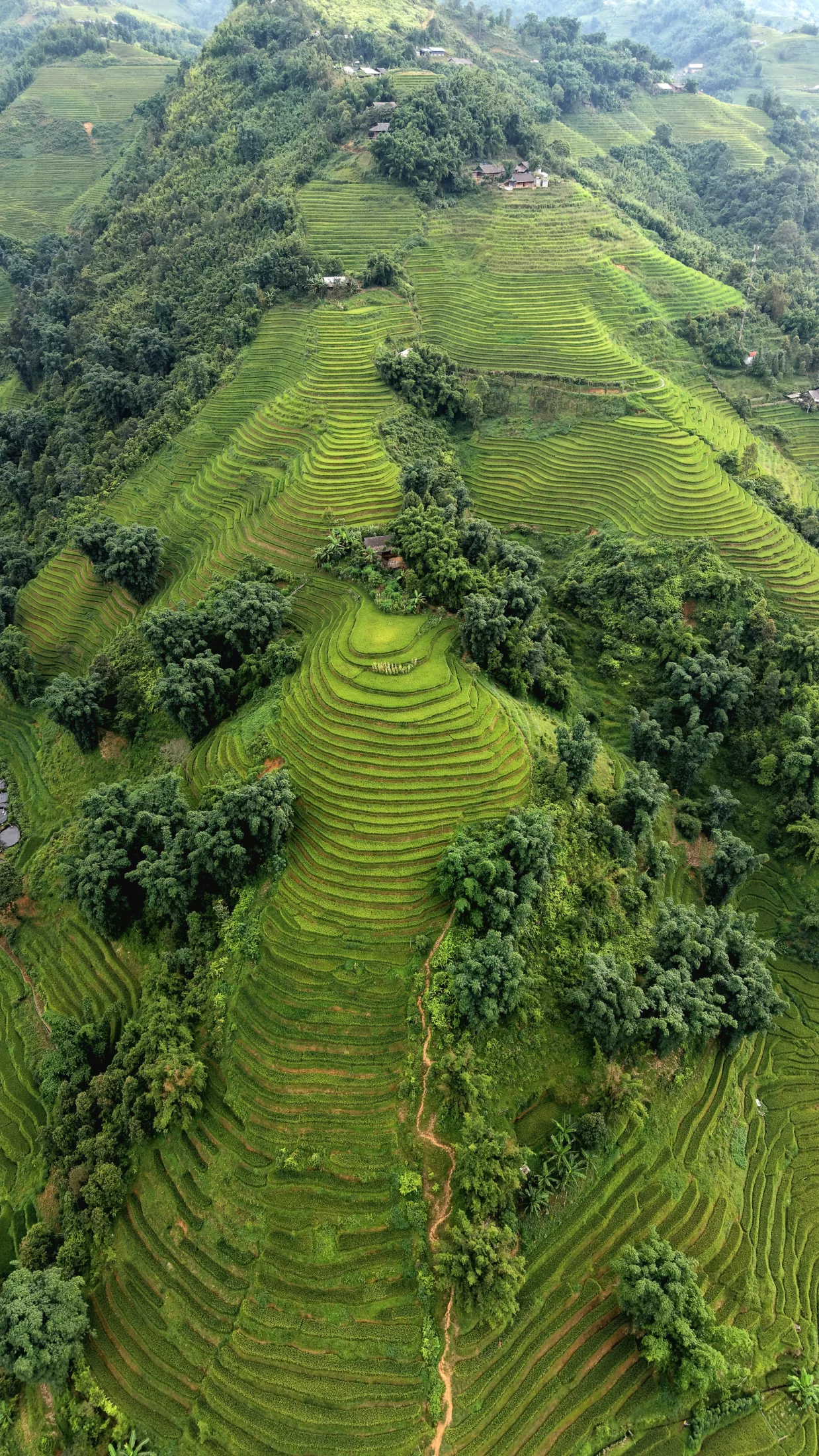 Sapa or Sapaland?