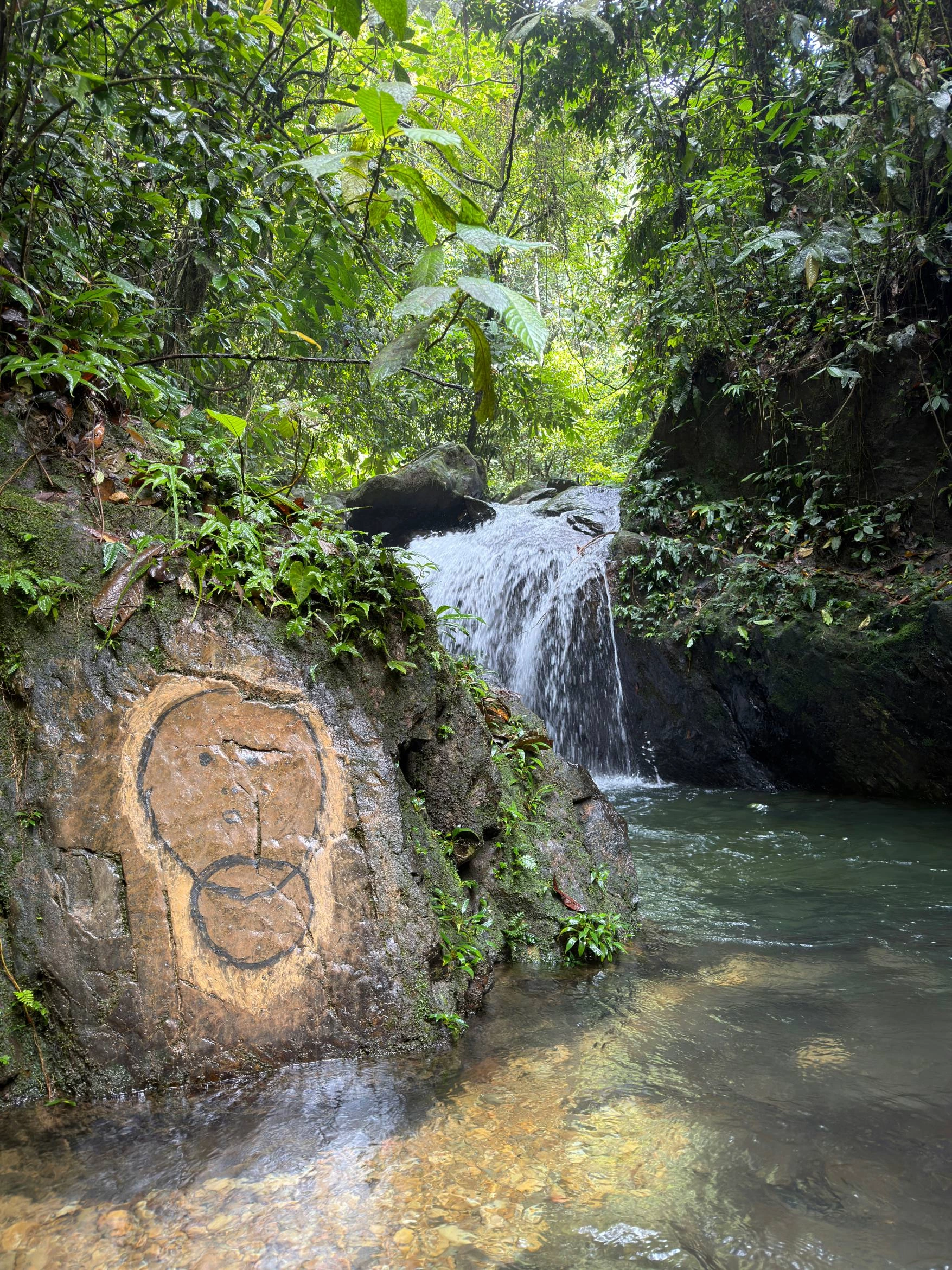 Trek dans la jungle de Bukit Lawang — Photo 6